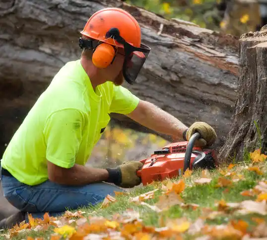 tree services Roslyn Heights